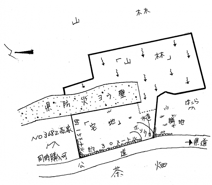 NO3684 静岡県浜松市天竜区二俣町大園 売地