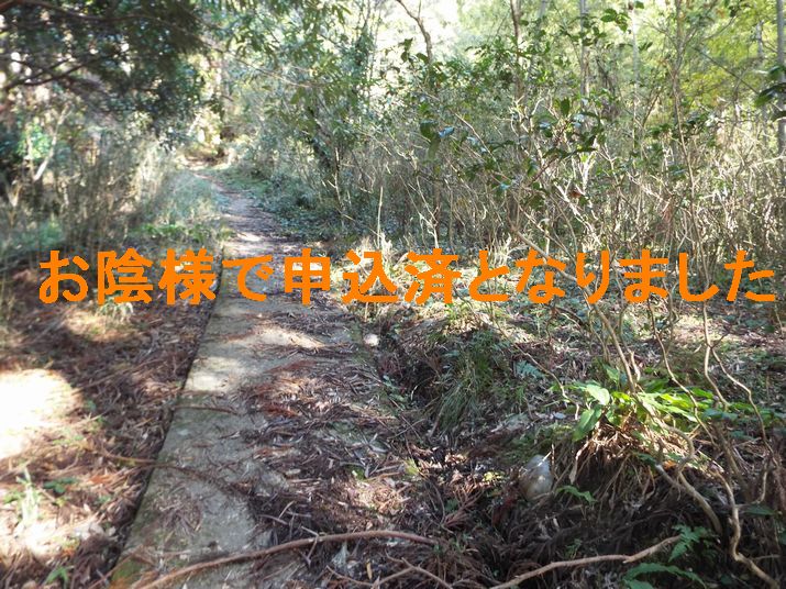 NO3699 静岡県浜松市天竜区月 山林