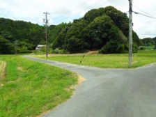 NO3721静岡県袋井市宇刈土地